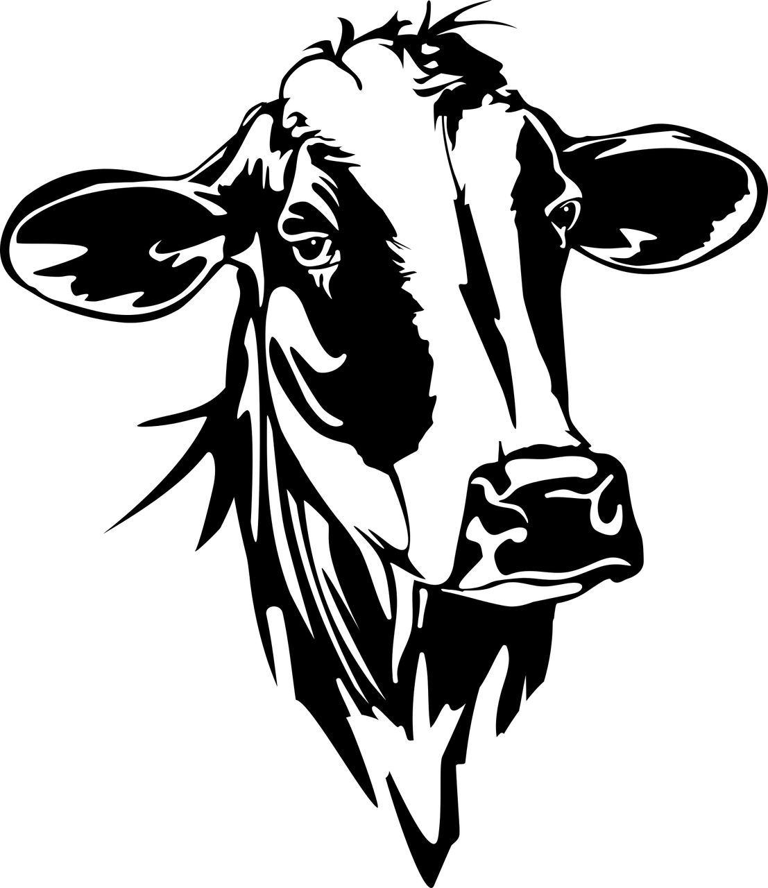 魅影风随 第29页