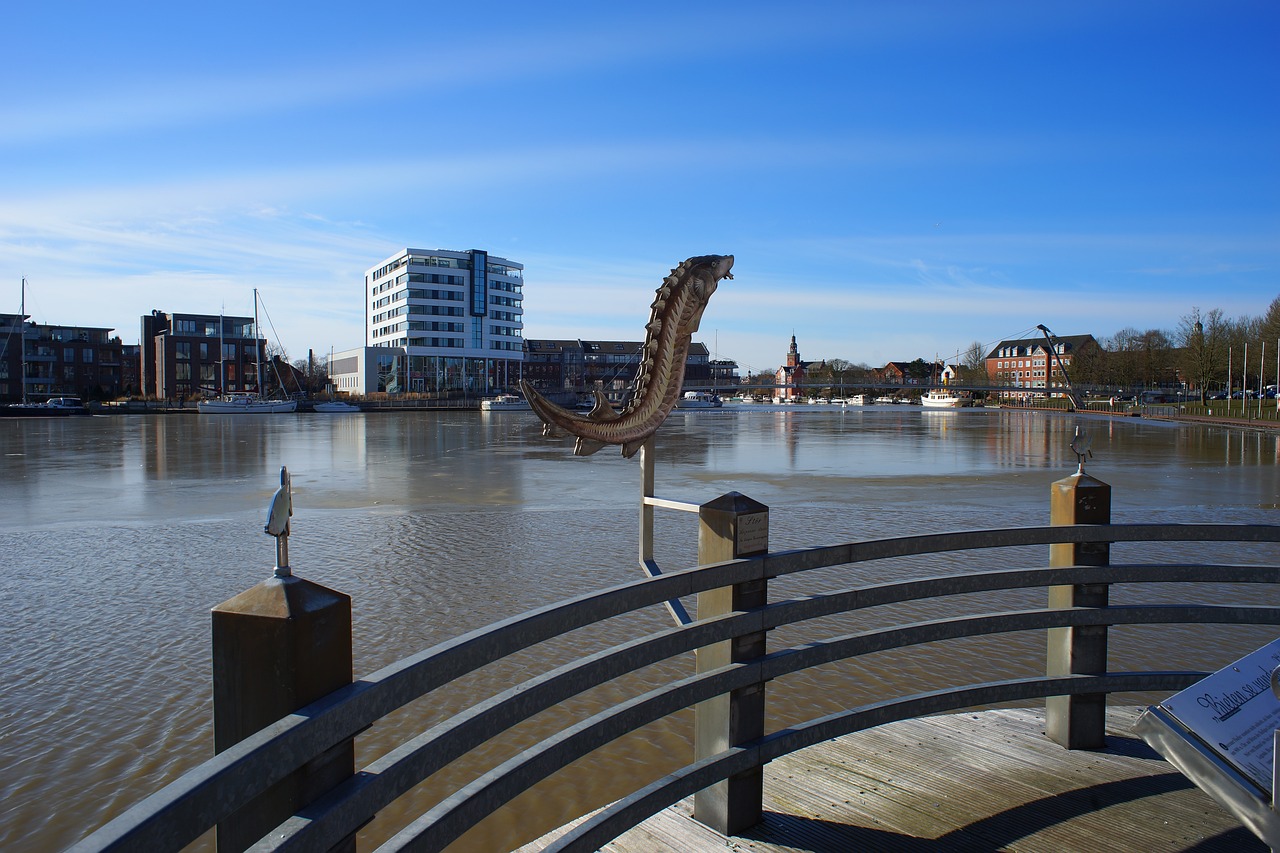 双城区棚改最新动态更新,双城区棚改进展揭秘