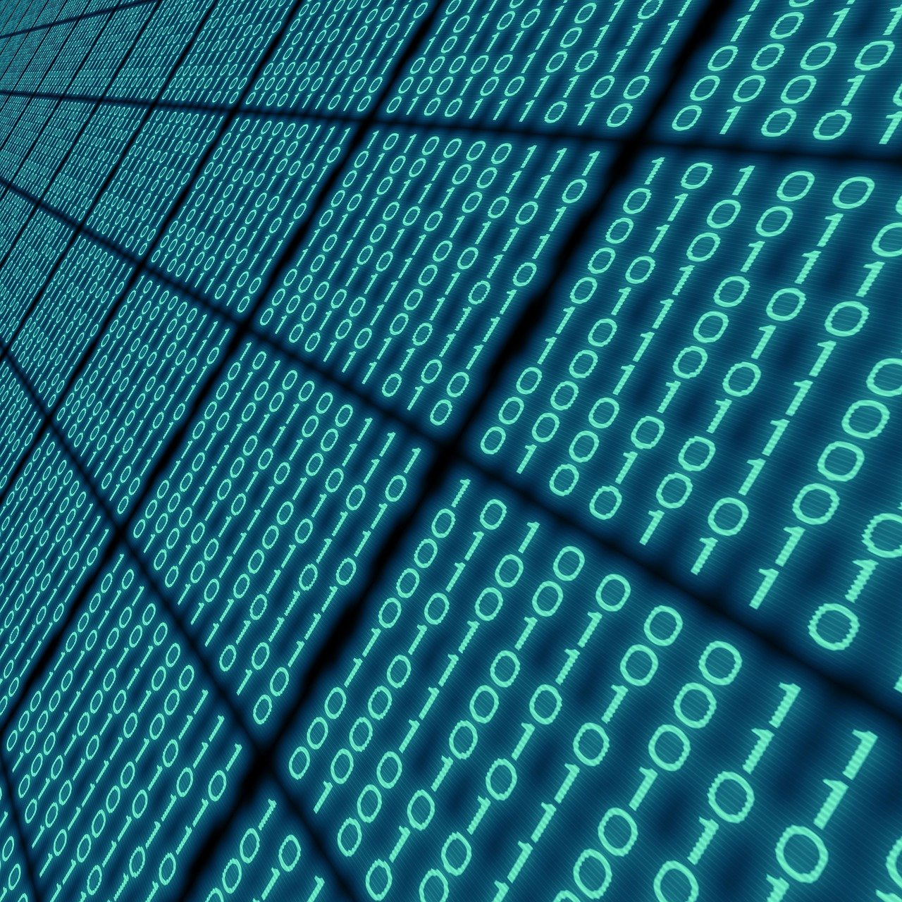 2024新奥正版资料免费提供,当前瑜伽垫市场需求分析与发展趋势