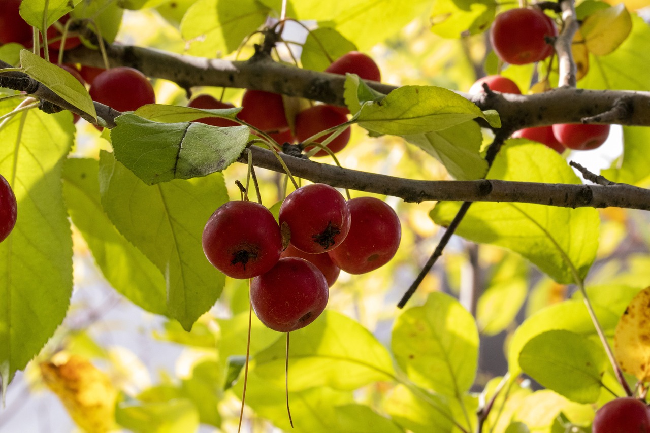 榆次归太原的最新发展动态