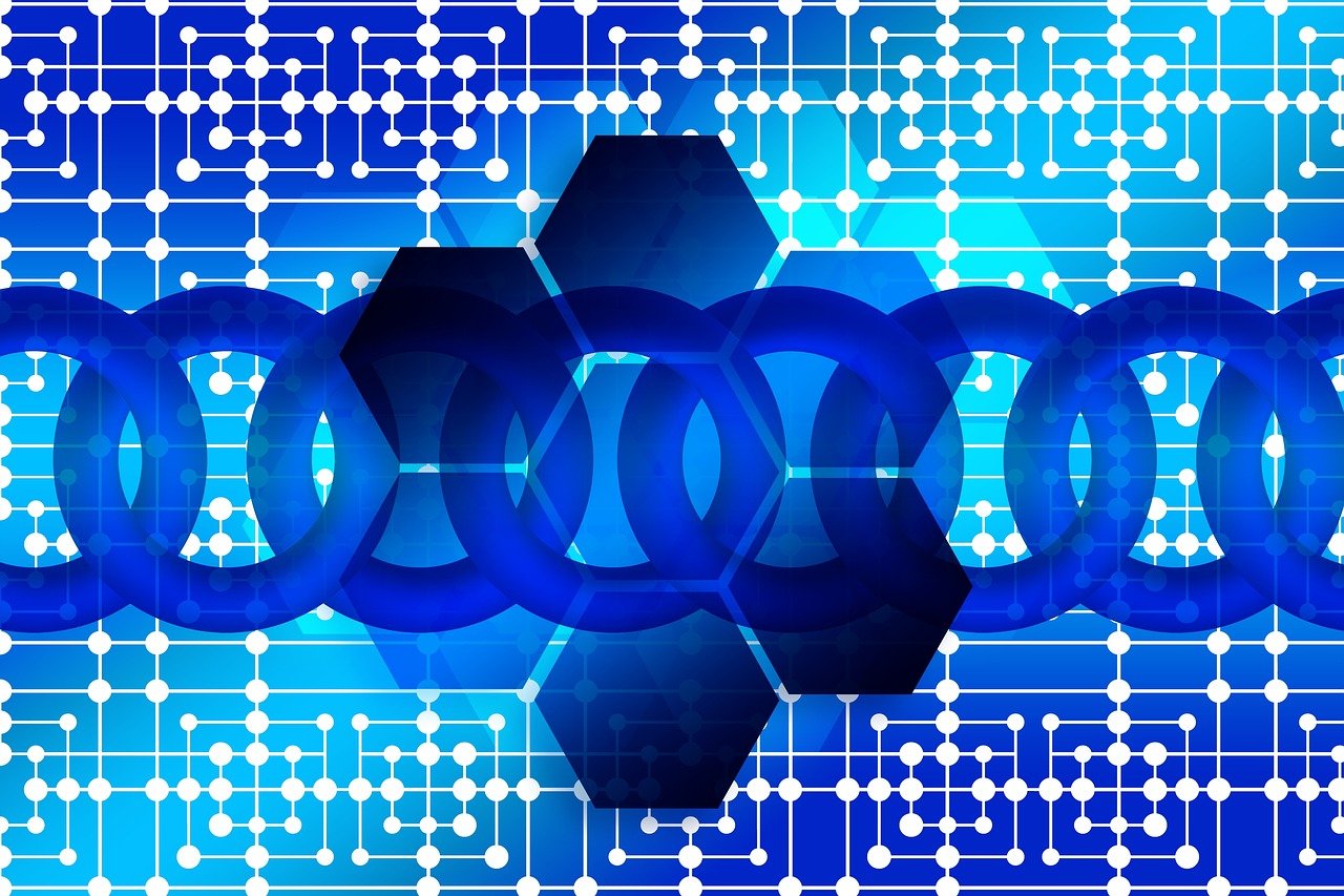 7777788888王中王开奖十记录网，MSN软件_使用版PB4669.1052