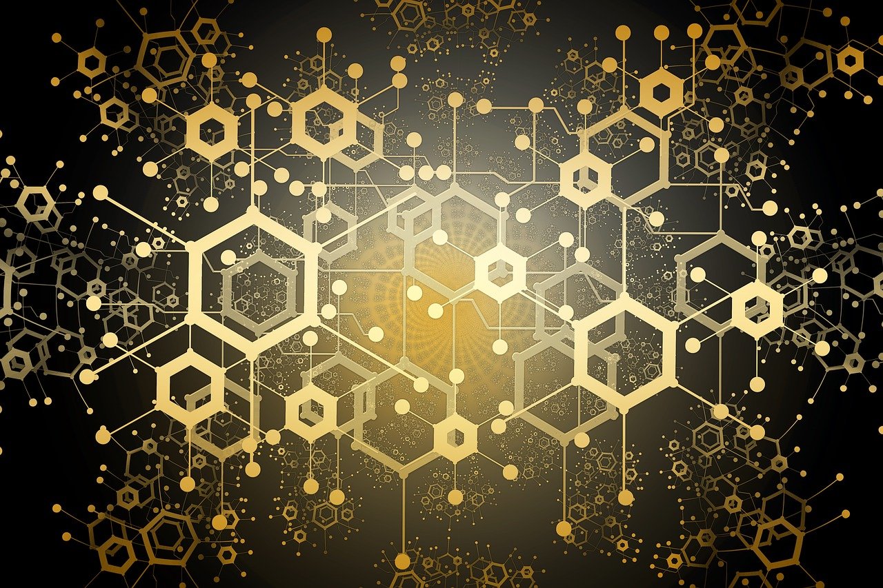 2024新澳开奖生肖走势,解码数据应用之道_FX232.938