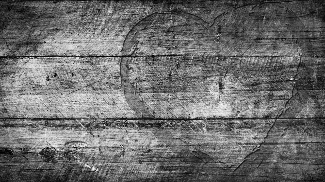 PP原料最新价格行情动态更新