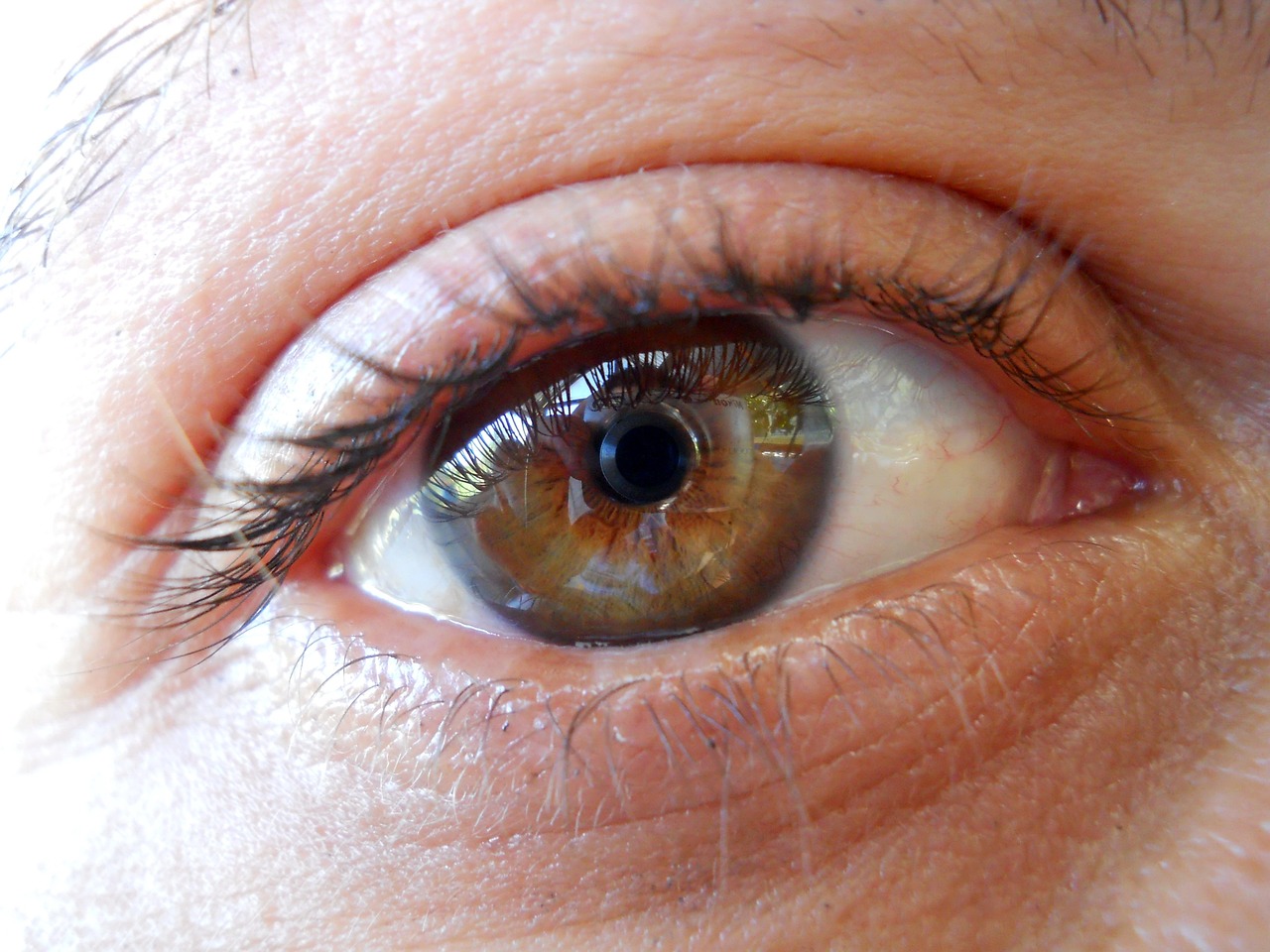 动漫眼睛绘画教程详解,一步步教你画出迷人动漫眼