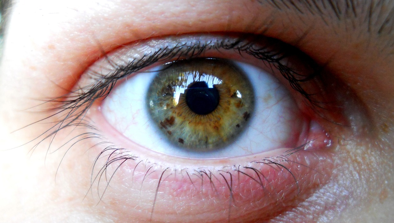 动漫眼睛绘画教程详解,一步步教你画出迷人动漫眼